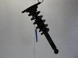 Suspension Strut NISSAN PRIMERA Estate (WP12)