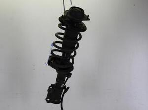 Suspension Strut HYUNDAI GETZ (TB)