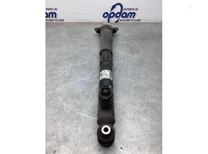 Suspension Strut VW GOLF VII (5G1, BQ1, BE1, BE2)