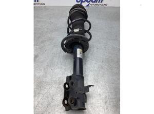 Suspension Strut SUZUKI BALENO (FW, EW)