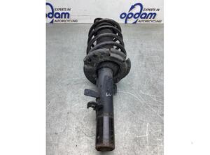 Suspension Strut FORD C-MAX II (DXA/CB7, DXA/CEU)