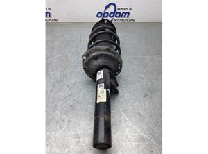 Suspension Strut VW GOLF SPORTSVAN (AM1, AN1)