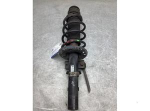 Suspension Strut SKODA FABIA II Combi (545), SKODA ROOMSTER Praktik (5J)