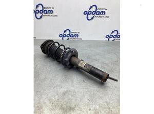 Suspension Strut SEAT LEON (1P1)