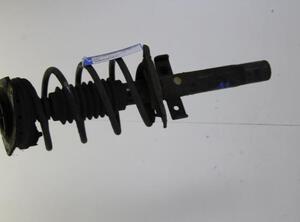 Suspension Strut RENAULT MEGANE II Estate (KM0/1_)