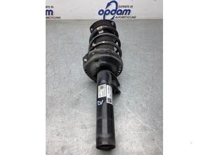 Suspension Strut SKODA KODIAQ (NS7, NV7, NS6)