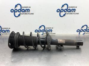 Suspension Strut VW POLO (AW1, BZ1)