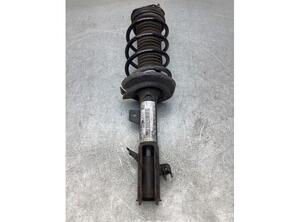 Suspension Strut FORD FIESTA VI (CB1, CCN)