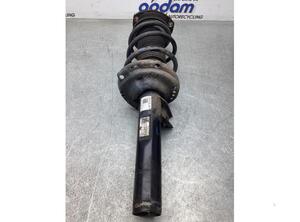 Suspension Strut VW TOURAN (5T1)