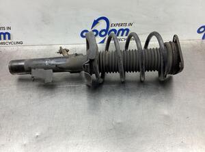 Suspension Strut FORD FOCUS II (DA_, HCP, DP)