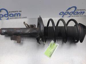 Suspension Strut FORD FOCUS C-MAX (DM2)