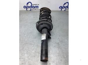 Suspension Strut VW GOLF VIII (CD1)