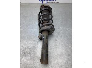 Suspension Strut VW TOURAN (1T1, 1T2)