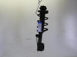 Suspension Strut SUZUKI ALTO (GF)