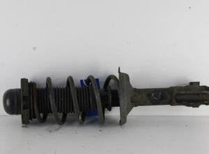 Suspension Strut VW POLO (6N2)