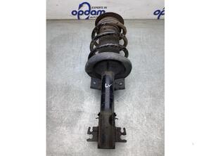 Suspension Strut OPEL MOVANO B Bus (X62), OPEL MOVANO B Van (X62)