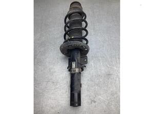 Suspension Strut SKODA FABIA II Combi (545), SKODA ROOMSTER Praktik (5J)