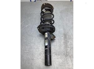 Suspension Strut VW GOLF VII (5G1, BQ1, BE1, BE2)