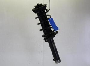 Suspension Strut SKODA SUPERB II (3T4)