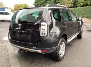 Federbein rechts hinten Dacia Duster HS  P21199086