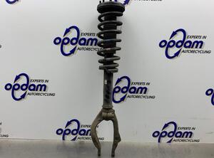 Suspension Strut HONDA ACCORD VII (CL, CN)