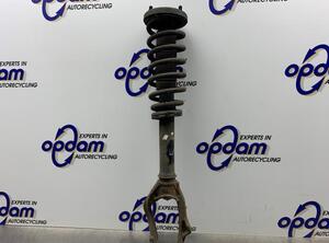 Suspension Strut HONDA ACCORD VII (CL, CN)