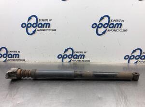 Shock Absorber FORD FOCUS C-MAX (DM2), FORD C-MAX (DM2)