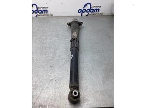 Shock Absorber VW TIGUAN (AD1, AX1), VW TIGUAN ALLSPACE (BW2)