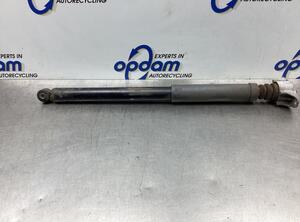 Shock Absorber FORD FOCUS II (DA_, HCP, DP)