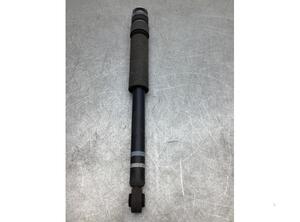 Shock Absorber SUZUKI IGNIS III (MF)