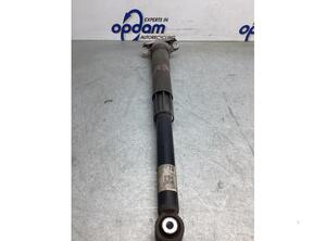 Shock Absorber VW GOLF VIII (CD1)