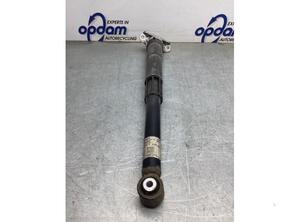 Shock Absorber VW GOLF SPORTSVAN (AM1, AN1)