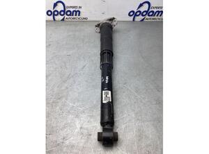 Shock Absorber VW TIGUAN (AD1, AX1), VW TIGUAN ALLSPACE (BW2)