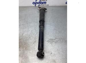 Shock Absorber VW TIGUAN (AD1, AX1), VW TIGUAN ALLSPACE (BW2)