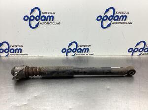 Shock Absorber VW TIGUAN (5N_), VW TIGUAN VAN (5N_)