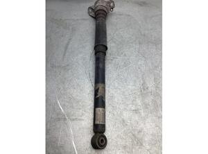 Shock Absorber AUDI A5 Sportback (8TA), AUDI A4 Avant (8K5, B8)