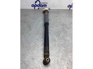 Shock Absorber FORD B-MAX (JK)