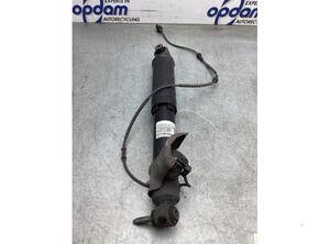 Shock Absorber RENAULT ESPACE V (JR_)