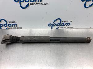 Shock Absorber VOLVO V50 (545)