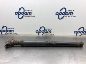 Shock Absorber FORD FOCUS C-MAX (DM2), FORD C-MAX (DM2)