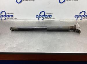 Shock Absorber FORD FOCUS II (DA_, HCP, DP)