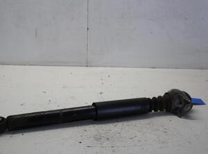 Shock Absorber VW GOLF PLUS (5M1, 521)