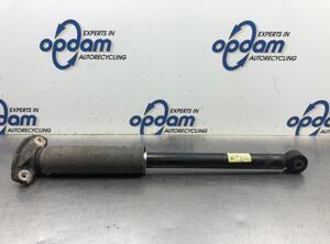 Shock Absorber CHEVROLET CRUZE (J300)