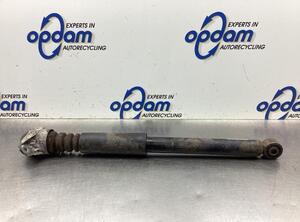 Shock Absorber VW TIGUAN (5N_), VW TIGUAN VAN (5N_)