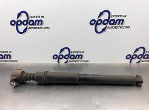 Shock Absorber PEUGEOT 307 CC (3B)