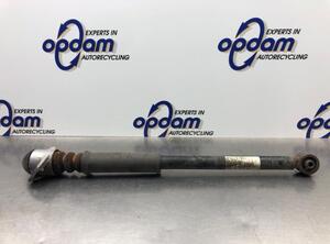 Shock Absorber VW POLO (6R1, 6C1), VW POLO Van (6R)