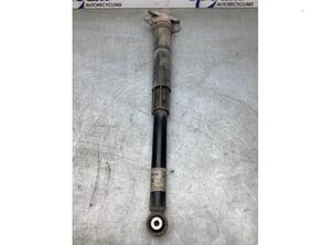 Shock Absorber VW T-CROSS (C11_)