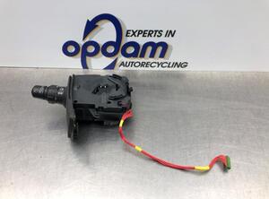 Turn Signal Switch RENAULT CLIO III (BR0/1, CR0/1)