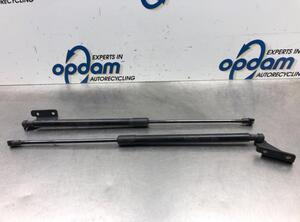 Gas Spring NISSAN QASHQAI / QASHQAI +2 I (J10, NJ10, JJ10E)