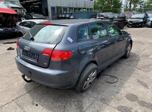 Boot (Trunk) Lid AUDI A3 (8P1), AUDI A3 Sportback (8PA)